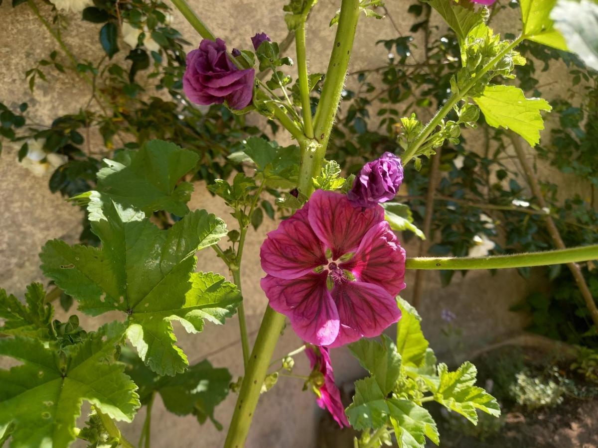Maison Violette En Berry Aigurande Eksteriør bilde